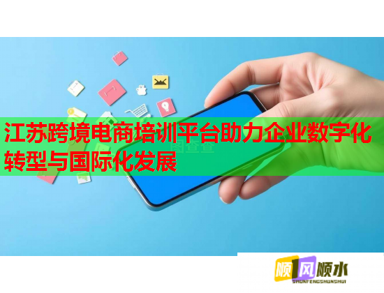 江蘇跨境電商培訓平臺助力企業(yè)數(shù)字化轉型與國際化發(fā)展  第2張