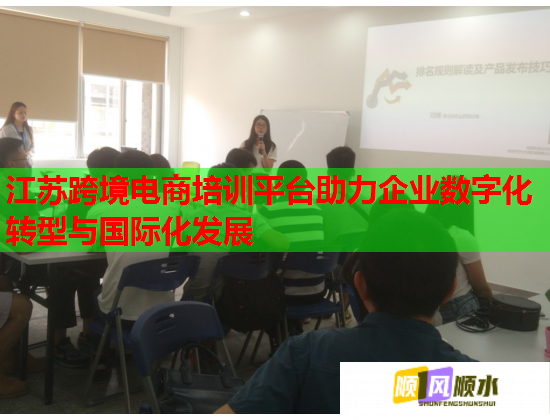 江蘇跨境電商培訓平臺助力企業(yè)數(shù)字化轉型與國際化發(fā)展  第1張