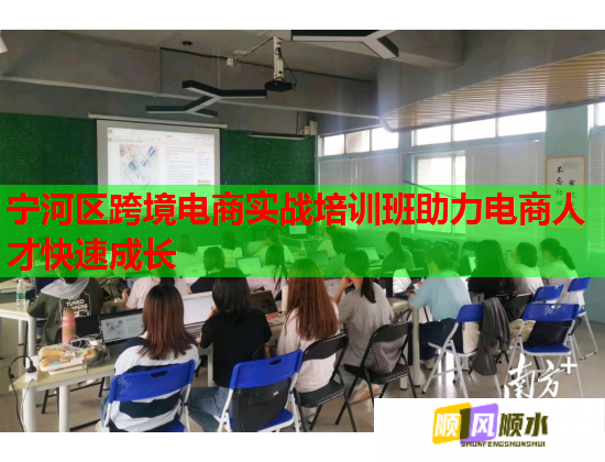 寧河區(qū)跨境電商實(shí)戰(zhàn)培訓(xùn)班助力電商人才快速成長(zhǎng)  第2張