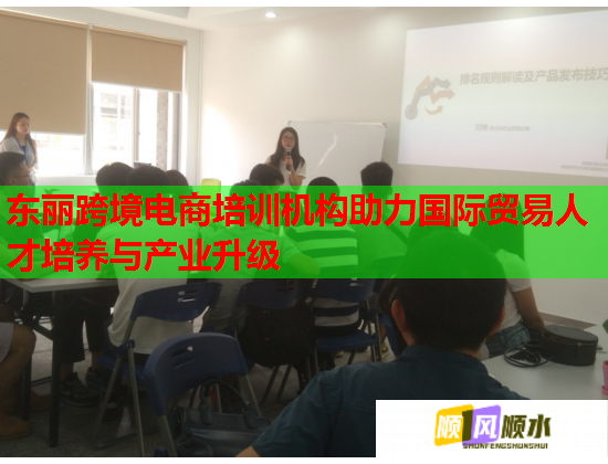 東麗跨境電商培訓(xùn)機構(gòu)助力國際貿(mào)易人才培養(yǎng)與產(chǎn)業(yè)升級  第1張
