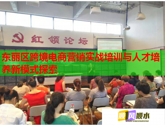 東麗區(qū)跨境電商營銷實戰(zhàn)培訓與人才培養(yǎng)新模式探索  第2張