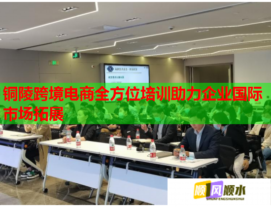 銅陵跨境電商全方位培訓(xùn)助力企業(yè)國(guó)際市場(chǎng)拓展  第3張