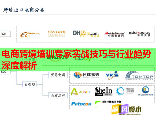 電商跨境培訓(xùn)專家實(shí)戰(zhàn)技巧與行業(yè)趨勢深度解析  第1張