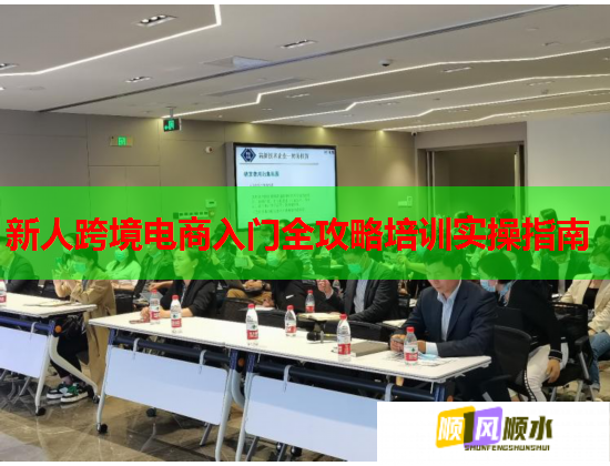 新人跨境電商入門全攻略培訓(xùn)實(shí)操指南  第2張