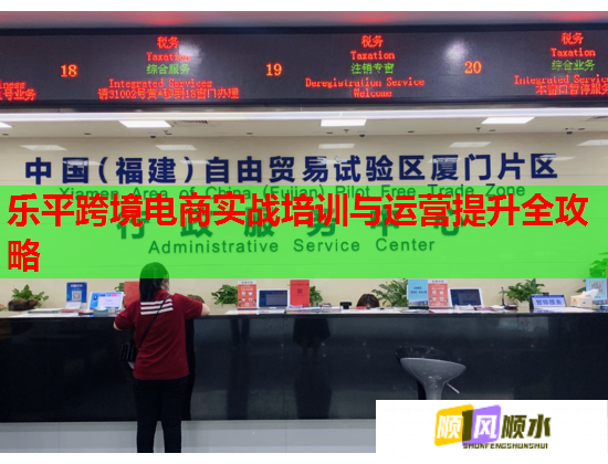 樂平跨境電商實戰(zhàn)培訓(xùn)與運營提升全攻略  第1張
