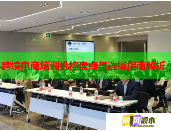 跨境電商培訓(xùn)機(jī)構(gòu)盤(pán)點(diǎn)與選擇指南解析  第1張