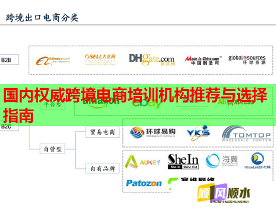 國(guó)內(nèi)權(quán)威跨境電商培訓(xùn)機(jī)構(gòu)推薦與選擇指南  第1張