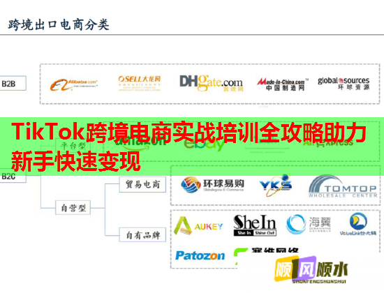 TikTok跨境電商實戰(zhàn)培訓(xùn)全攻略助力新手快速變現(xiàn)  第1張