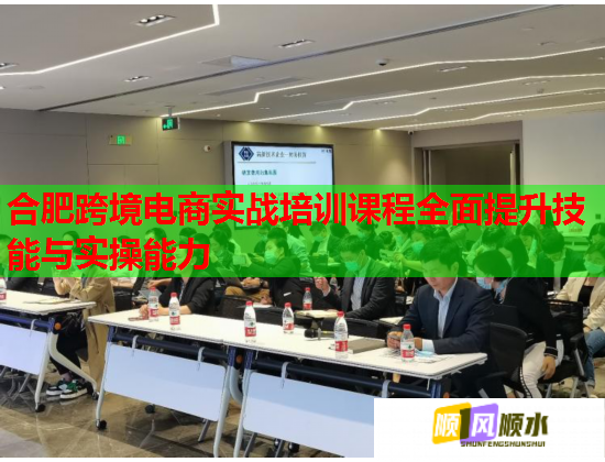 合肥跨境電商實戰(zhàn)培訓課程全面提升技能與實操能力  第3張