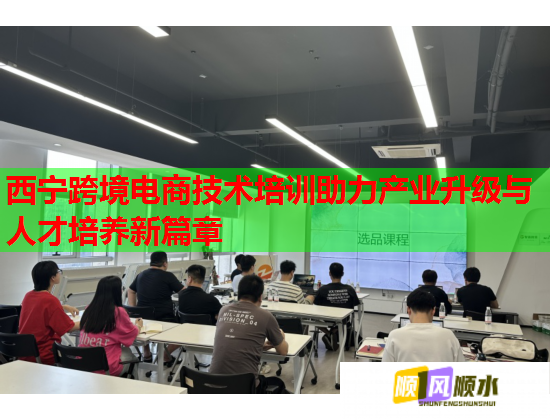 西寧跨境電商技術(shù)培訓(xùn)助力產(chǎn)業(yè)升級與人才培養(yǎng)新篇章  第1張