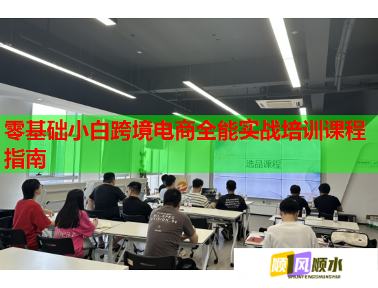 零基礎(chǔ)小白跨境電商全能實戰(zhàn)培訓課程指南  第3張
