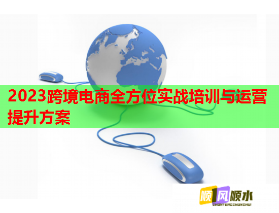 2023跨境電商全方位實戰(zhàn)培訓(xùn)與運營提升方案  第1張