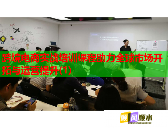 跨境電商實戰(zhàn)培訓(xùn)課程助力全球市場開拓與運營提升(1)  第1張