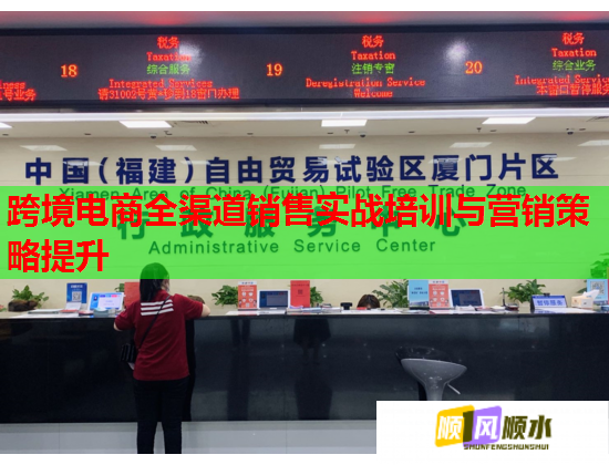 跨境電商全渠道銷售實(shí)戰(zhàn)培訓(xùn)與營銷策略提升  第1張