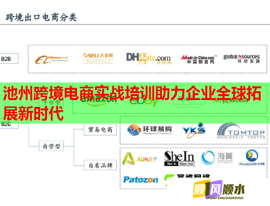 池州跨境電商實戰(zhàn)培訓(xùn)助力企業(yè)全球拓展新時代  第1張